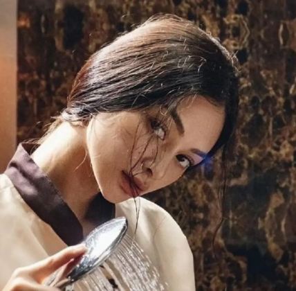 The Housemaid