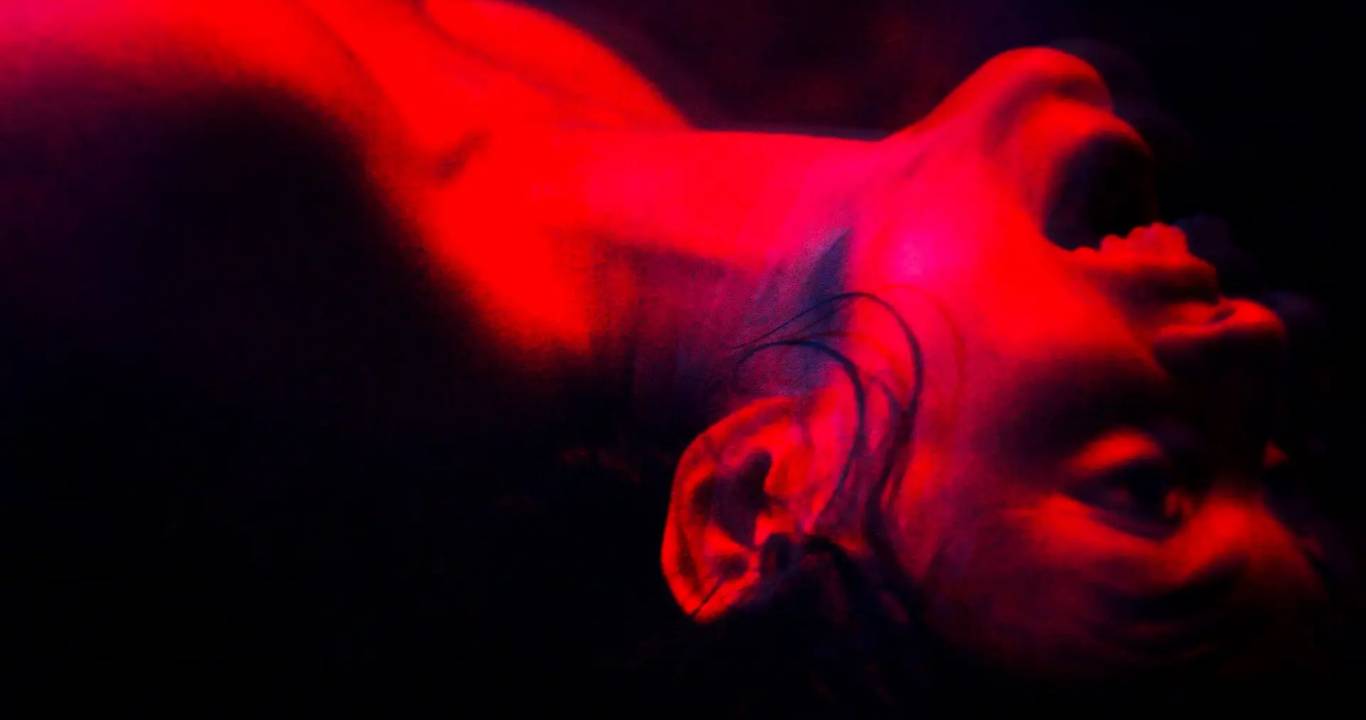 We Are the Flesh