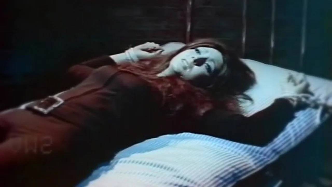 The Night of the Cat