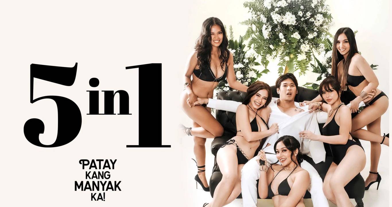 5 in 1