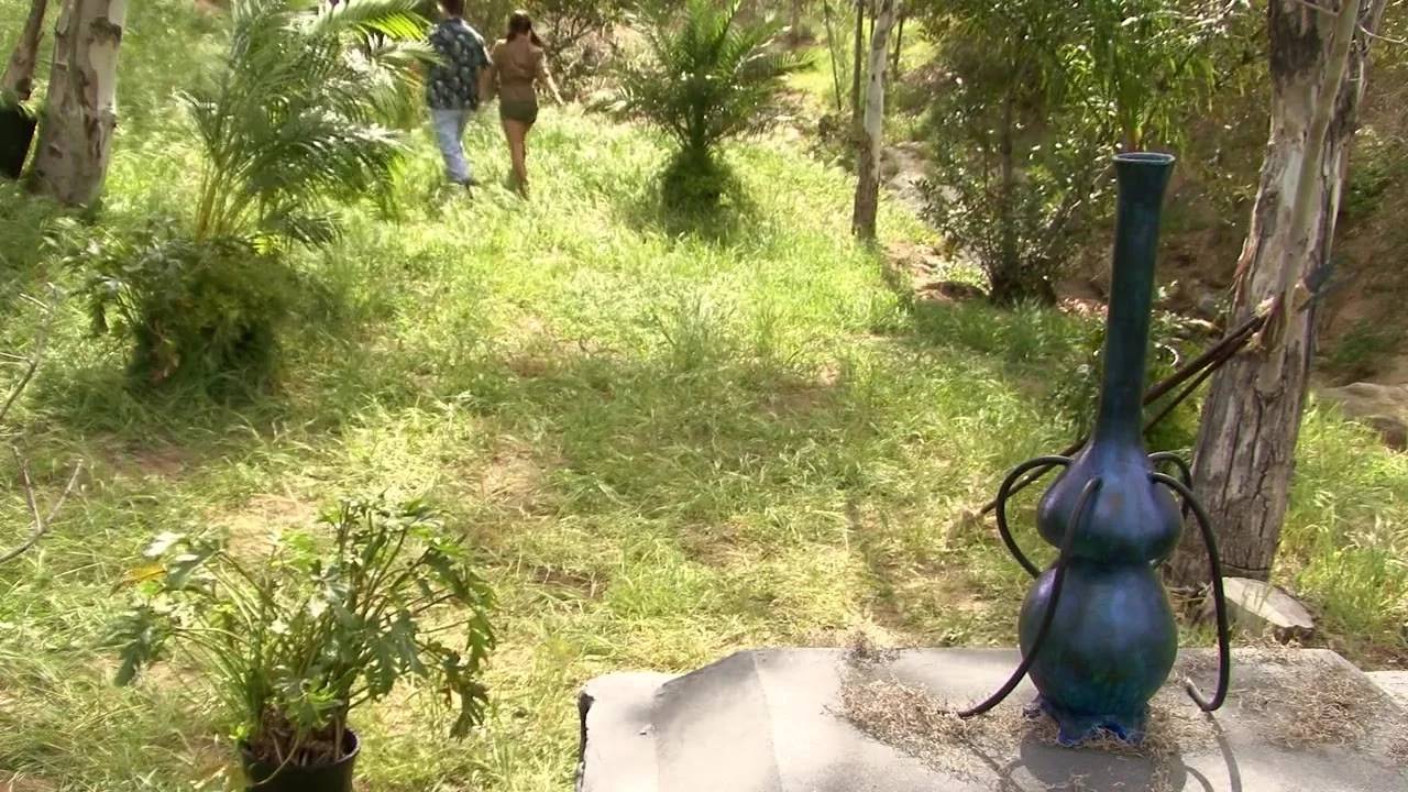 Evil Bong 2: King Bong