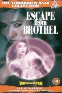 Escape from Brothel